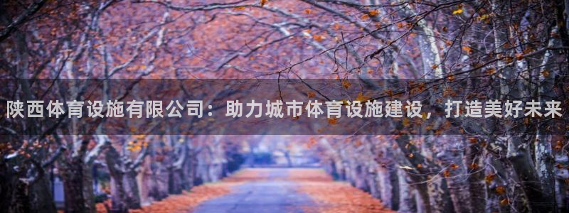 凯捷体育平台注册：陕西体育设施有限公司：助力城市体育设施建设