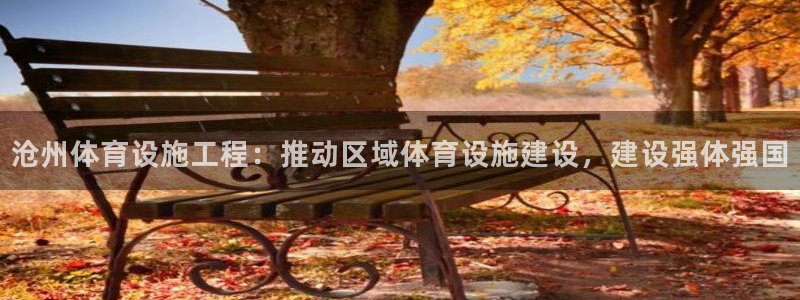 凯捷体育招商：沧州体育设施工程：推动区域体育设施建设，建设强