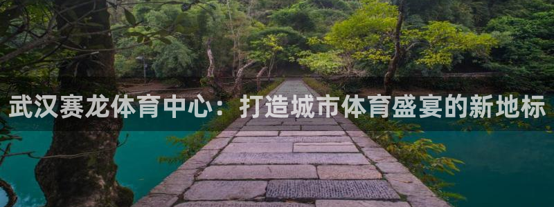 凯捷体育新能源：武汉赛龙体育中心：打造城市体育盛宴的新地标