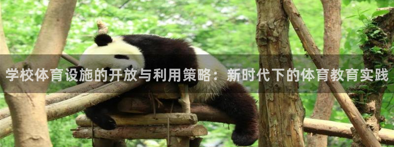 凯捷体育官方：学校体育设施的开放与利用策略：新时代下的体育教 