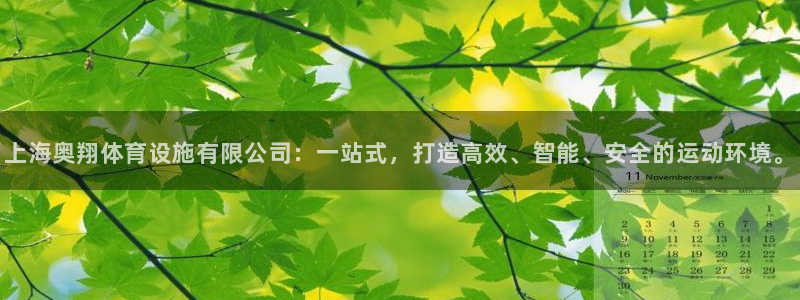 凯捷体育注册：上海奥翔体育设施有限公司：一站式，打造高效、智 