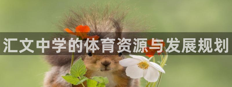 凯捷平台体育：汇文中学的体育资源与发展规划