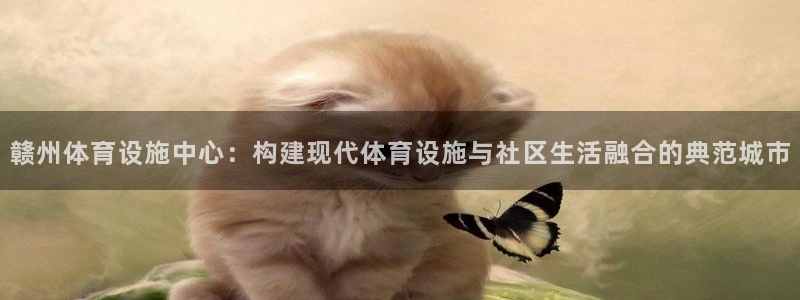 凯捷体育娱乐首页官网下载：赣州体育设施中心：构建现代体育设施