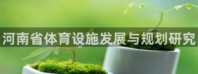凯捷体育科技：河南省体育设施发展与规划研究