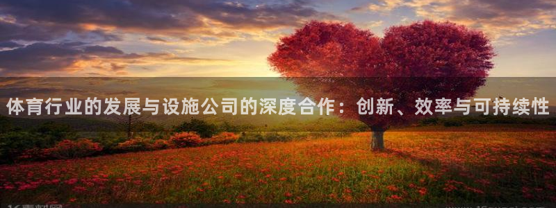 凯捷体育集团简介：体育行业的发展与设施公司的深度合作：创新、