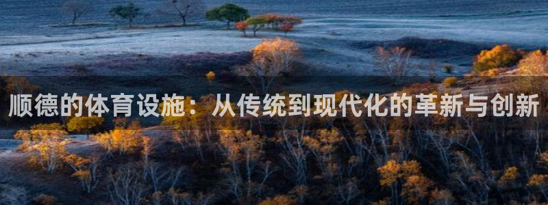 凯捷平台体育：顺德的体育设施：从传统到现代化的革新与创新 