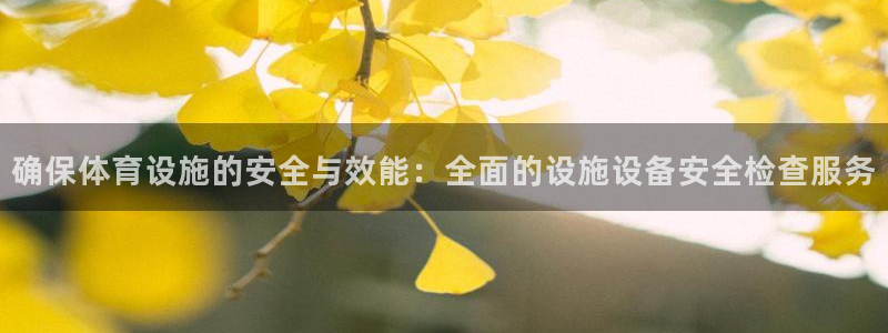 凯捷体育娱乐平台：确保体育设施的安全与效能：全面的设施设备安