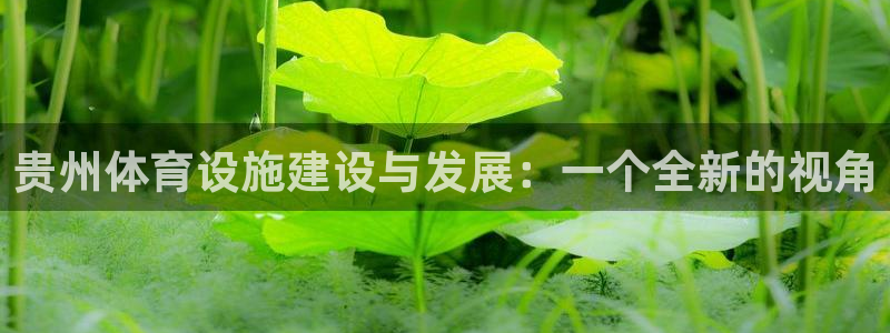 凯捷体育娱乐40996：贵州体育设施建设与发展：一个全新的视