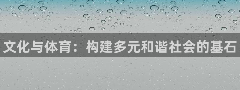 凯捷体育集团官网首页：文化与体育：构建多元和谐社会的基石
