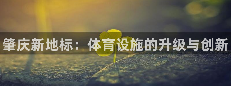 凯捷体育代理：肇庆新地标：体育设施的升级与创新 