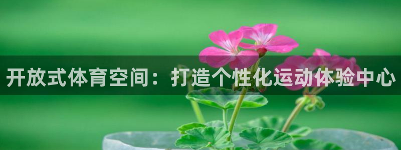 凯捷体育招商电话地址：开放式体育空间：打造个性化运动体验中心