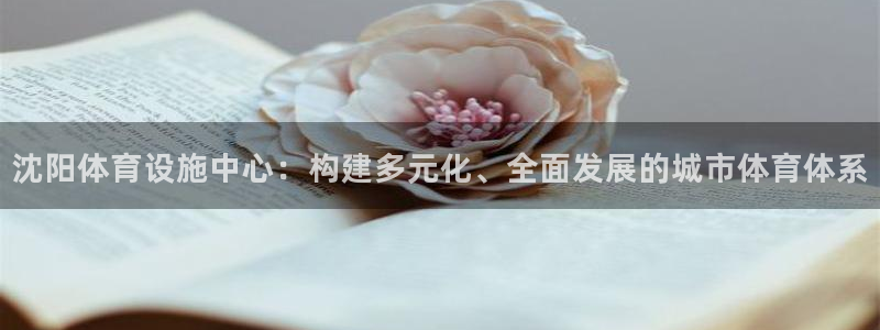 凯捷体育招商电话地址：沈阳体育设施中心：构建多元化、全面发展 