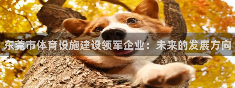 凯捷体育集团：东莞市体育设施建设领军企业：未来的发展方向