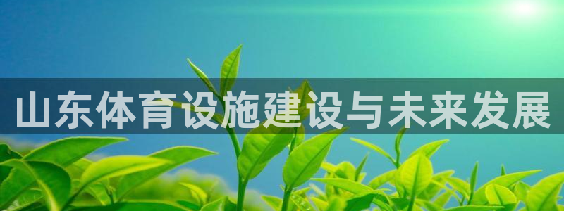 凯捷体育集团官网首页网址：山东体育设施建设与未来发展 