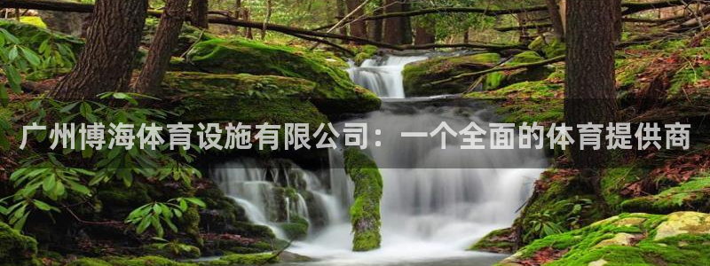 凯捷体育平台注册流程视频：广州博海体育设施有限公司：一个全面