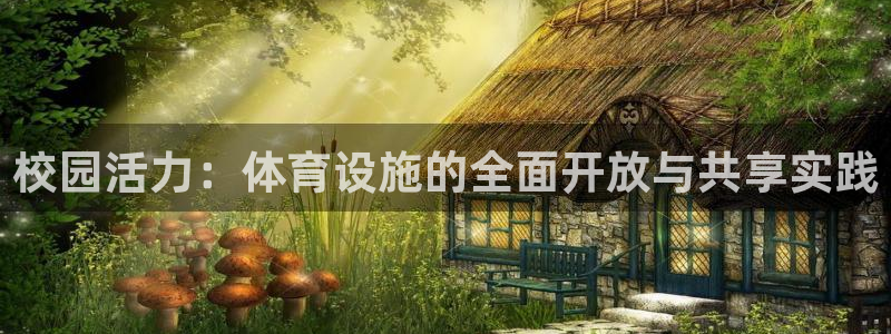 凯捷体育娱乐平台：校园活力：体育设施的全面开放与共享实践