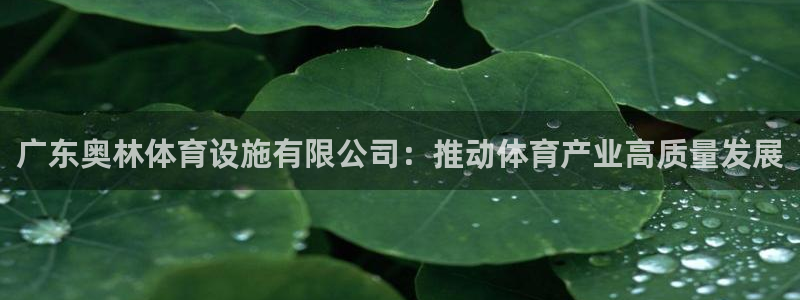 凯捷体育集团：广东奥林体育设施有限公司：推动体育产业高质量发 
