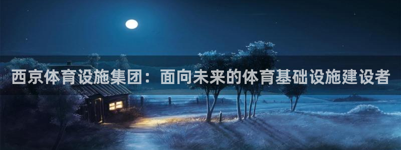 凯捷体育五金厂：西京体育设施集团：面向未来的体育基础设施建设