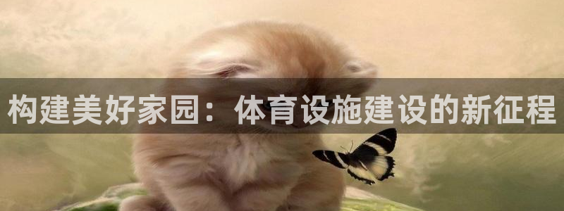 凯捷体育官方客服电话：构建美好家园：体育设施建设的新征程 